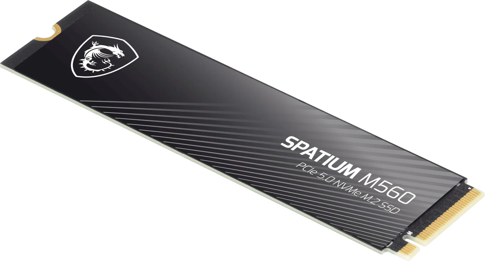SSD MSI PCI 5 M2 1Tb M560 (3/5)