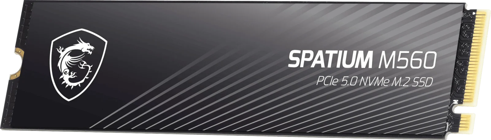 SSD MSI PCI 5 M2 1Tb M560 (2/5)