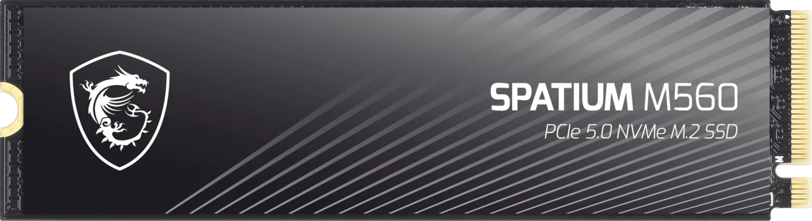 SSD MSI PCI 5 M2 1Tb M560 (4/5)