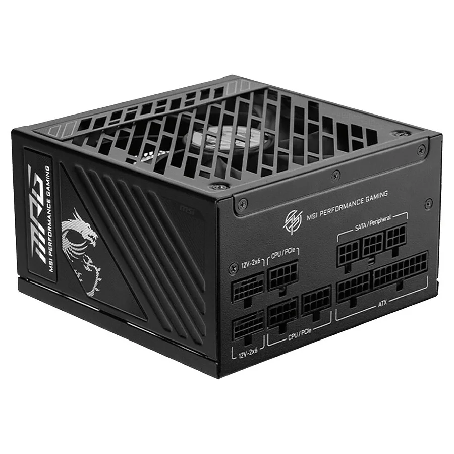 ALIM MSI A1000GS PCIE5 (6/6)