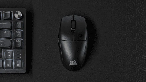 SOURIS SS FIL CORSAIR M55 (2/4)